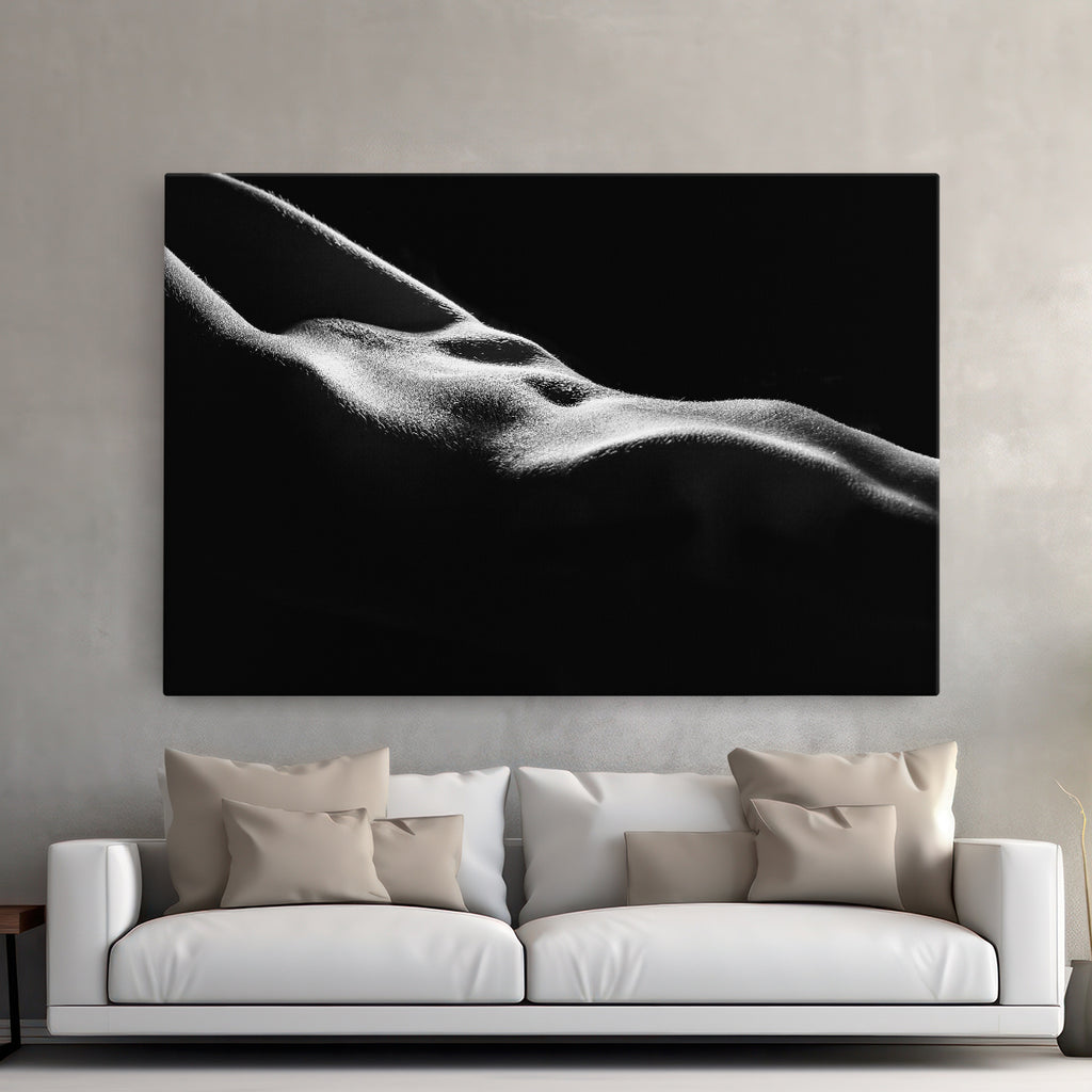 Tablou canvas - LUMINI SI UMBRE