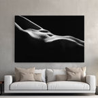 Tablou canvas - LUMINI SI UMBRE