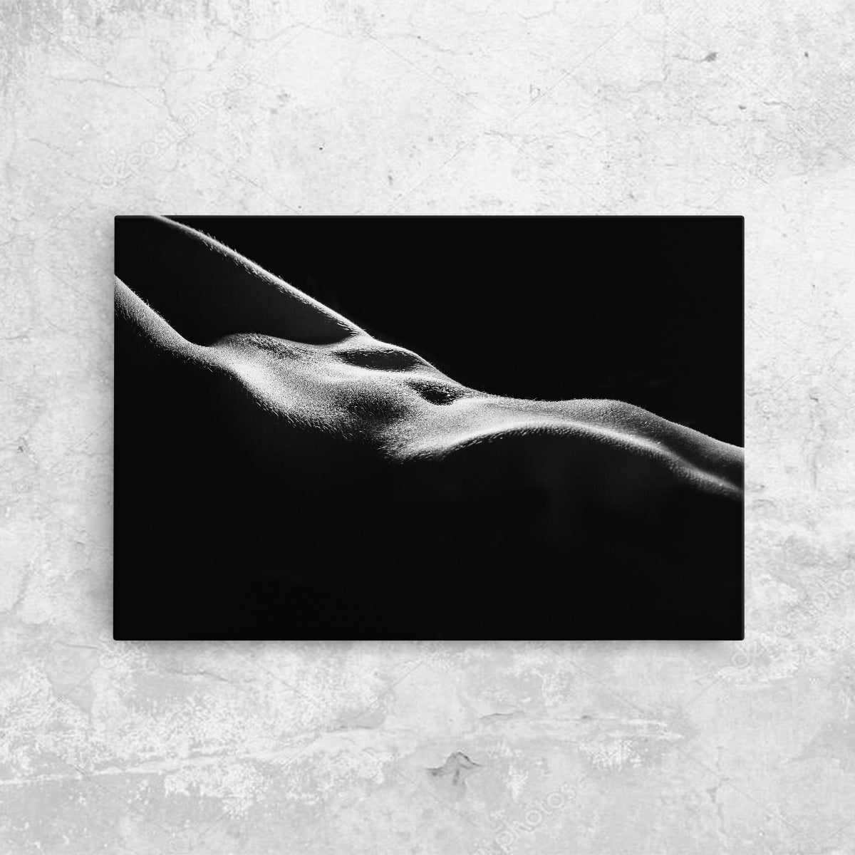 Tablou canvas - LUMINI SI UMBRE