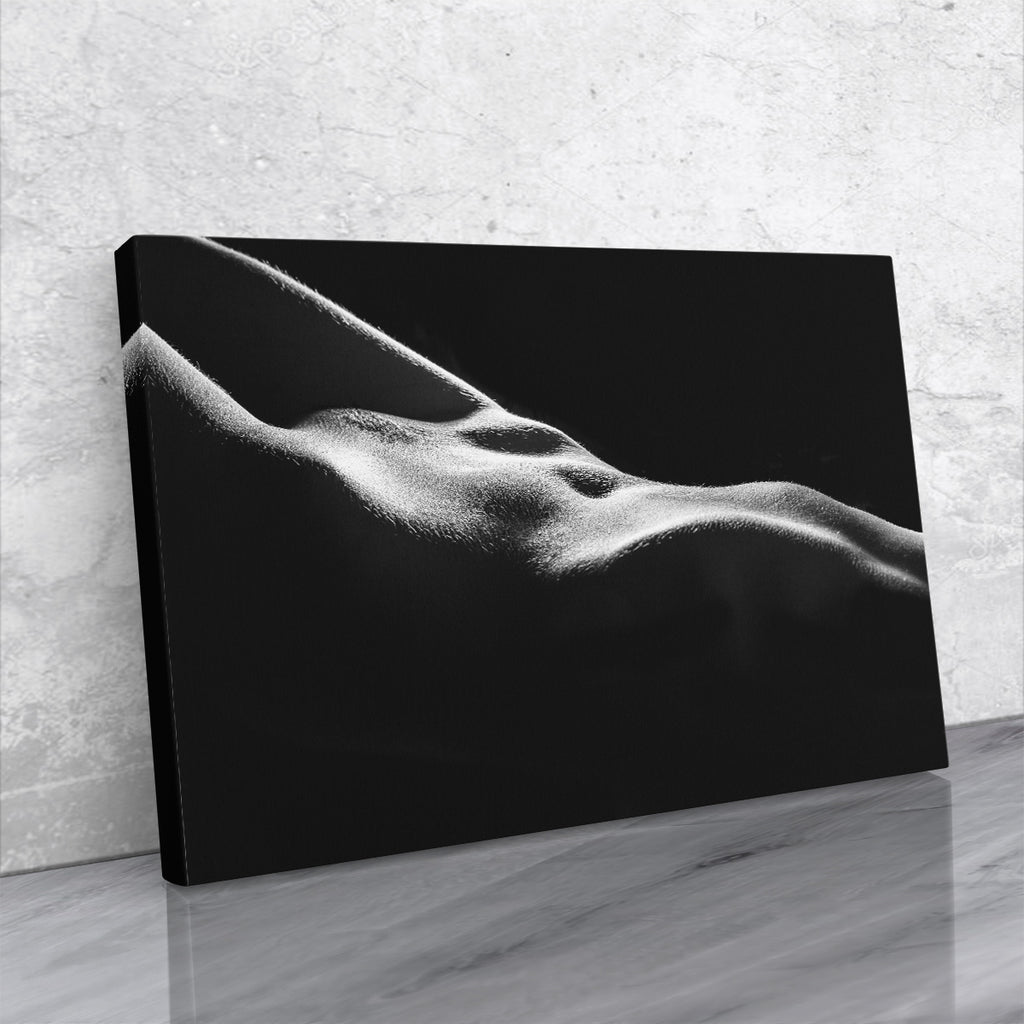 Tablou canvas - LUMINI SI UMBRE