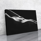 Tablou canvas - LUMINI SI UMBRE