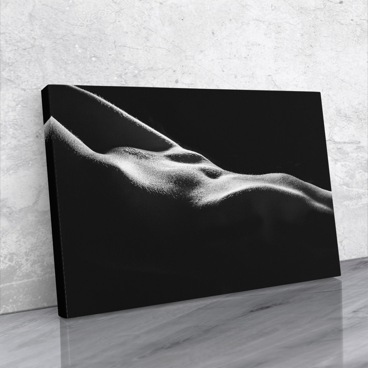 Tablou canvas - LUMINI SI UMBRE